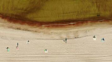 vue à vol d'oiseau les gens se détendent au bord de la mer par une journée d'été ensoleillée. belle plage de sable blanc et d'eau claire de la mer baltique à palanga, lituanie. aérienne de haut en bas zoom arrière vue cinématographique video
