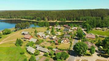 aéreo ver hermosa campo lituano casas en paluse pueblo por lusiai lago línea costera por bosque en soleado día al aire libre. bálticos estilo de vida y cultura video