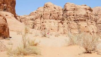 retour vue femelle touristique explorer marcher une randonnée oued Rhum désert paysage. Jordan célèbre dans le désert la nature réserve dans milieu est. explorer Jordan bannière video