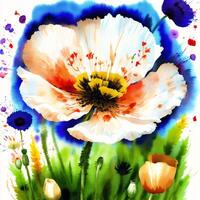 Summer concept. Beautiful watercolor Poppies. A radiant Poppies. Natures Beauty. photo