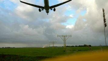 Airplane landing on illuminated runway at early morning. video