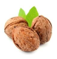 nueces con hojas. foto