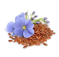 Flax seed and flax flowers closeup on white backgrounds.AI generative photo