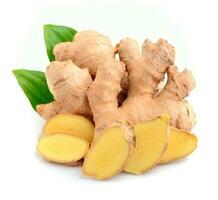 Ginger root in isolated. photo