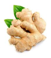 Ginger root . photo