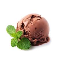 Chocolate ice cream with mint. photo