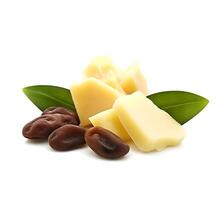 . Cocoa butter and coffee bean on white backgrounds. photo