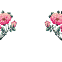 Flower border design png