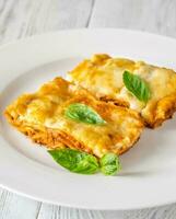 Portion of lasagna photo