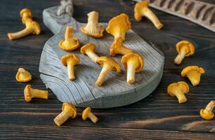 Fresh chanterelles closeup photo