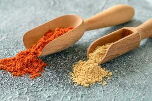 Red paprika and ginger powder photo