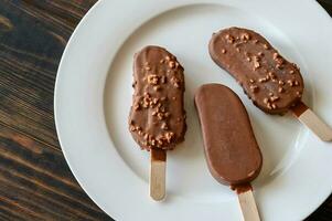 Chocolate-covered vanilla ice cream bars photo