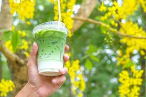 Woman hand holding the glass iced matcha latte green tea coffee on spring nature background photo