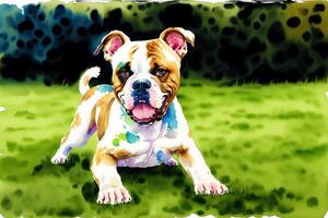 Watercolor painting of the Loyal American Bulldog. A Powerful Guardian and Family Companion. photo