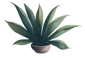Watercolor house plant. png