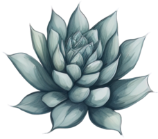 aquarelle succulent illustration. ai génératif png