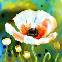 Summer concept. Beautiful watercolor Poppies. A radiant Poppies. Natures Beauty. photo