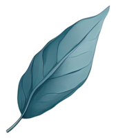 Watercolor green leave. png