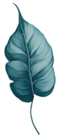 Watercolor green leave. png