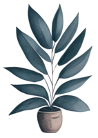 Watercolor house plant. png