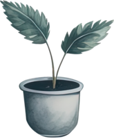 aquarelle maison plante. ai génératif png