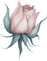 Aquarell Rose Blume Illustration. ai generativ png