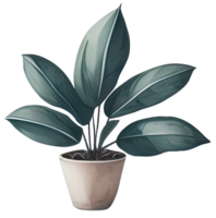 Watercolor house plant. png