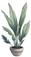 Watercolor House plant. png