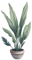 aquarelle maison plante. ai génératif png