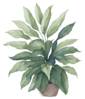 Watercolor House plant. png