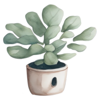 aquarelle maison plante. ai génératif png