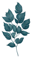 Watercolor green leave. png