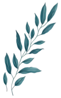 Watercolor green leave. png
