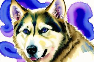 Watercolor painting of the Energetic and Loyal Alaskan Husky. A True Sled Dog and Outdoor Companion. photo