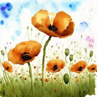 Summer concept. Beautiful watercolor Poppies. A radiant Poppies. Natures Beauty. photo