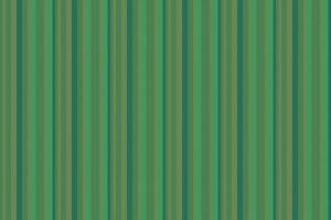 Pattern lines seamless of texture textile fabric with a background vertical stripe vector. vector