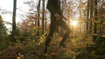 Sportler Herstellung Übungen während Laufen im das bunt Herbst Wald video