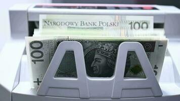 moderno eletrônico notas contando máquina calculando montante do dinheiro dentro polonês zloty moeda. video