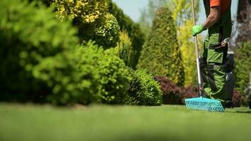 caucásico jardinero rastrillar césped en un patio interior jardín. primavera hora mantenimiento video