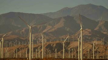 rinnovabile energia a partire dal vento turbine. vento energia energia pianta nel California Stati Uniti d'America video