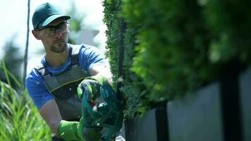 profissional caucasiano jardim trabalhador aparar plantas. video