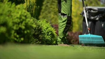 Fachmann Gärtner Harken Gras im ein Hinterhof Garten. Garten Instandhaltung video