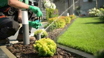 ajustando automático jardín césped aspersor por profesional jardinero video