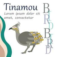 Poster, banner with crested tinamou bird and text. Poster layout design. vector