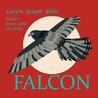 Poster, banner with falcon bird and text. Poster layout design. Letters. vector