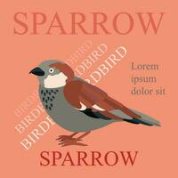 Poster, banner with sparrow bird and text. Poster layout design. vector