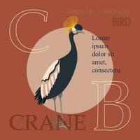 Poster, banner with crane bird and text. Poster layout design. vector