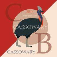 Poster, banner with cassowary bird and text. Poster layout design. vector