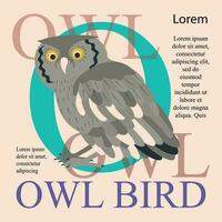 Poster, banner with owl bird and text. Poster layout design. vector