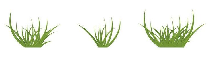 Cartoon grass leaves collection vector illustration isolated on white